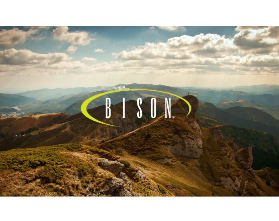 BISON / Webbing Belt 30mm Plain Nylon Belt