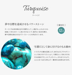 CHALISA T.. / Chips Turquoise Silver Chain 2 Way Jewellery