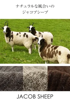 GRANGE CRAFT / Jacob Sheep Wool Socks