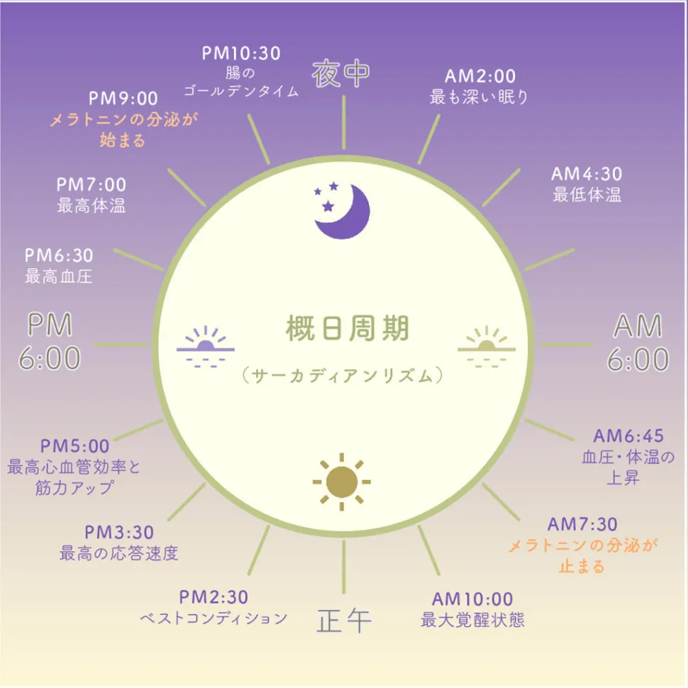 IZIPIZI / Sleeping Glasses #D