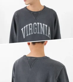 REMI RELIEF / SP processed back pile crew (VIRGINIA) Sweatshirt